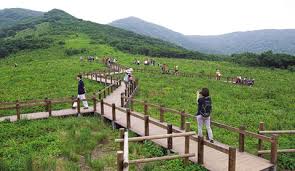 여름에 걷기 좋은 숲길 10