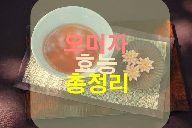 오미자차