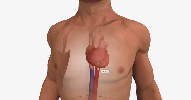 왼쪽가슴통증을 유발하는 흉부 심장통증 원인에는 기본적으로 심장이 있기 때문에 심장 문제라고 생각합니다. 평소에 왼쪽가슴통증이 있을 때도 심장에 이상이 있는 것 같고 무섭다는 생각이 들 수도 있습니다. 그러나 왼쪽 가슴 통증이 모두 심장의 문제는 아니고 역류성식도염 등 심장, 폐, 소화기 질환 등 다양한 질환을 예측할 수 있습니다.