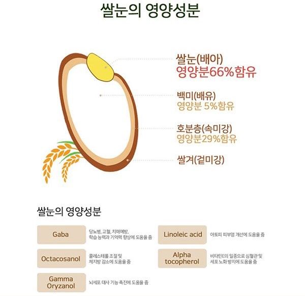 쌀눈_영양성분