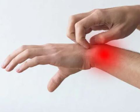 호관원-프리미엄-골드-효과-msm-효능