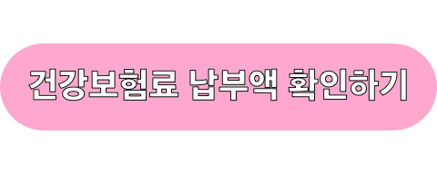 건강보험료_납부액_확인하기