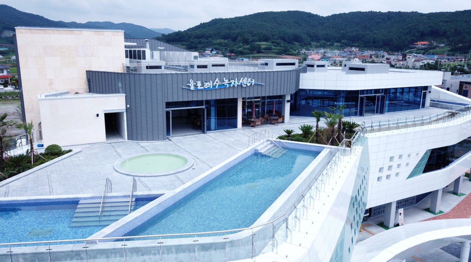 율포해수녹차센터