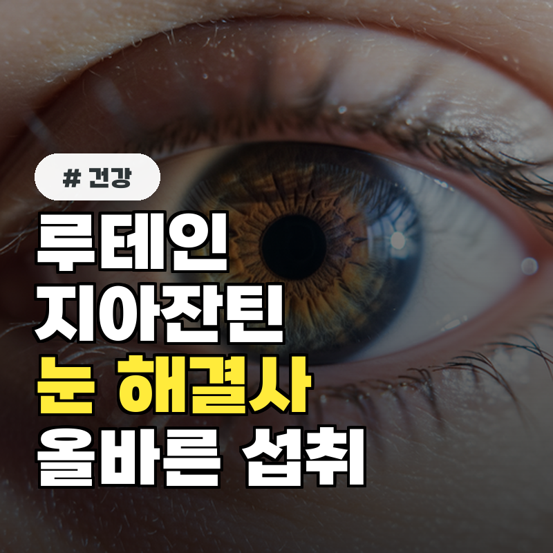 루테인지아잔틴 눈 해결사! 올바른 섭취법