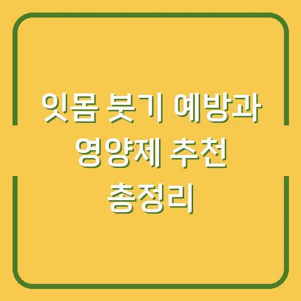 잇몸 붓기 예방과 영양제 추천 총정리