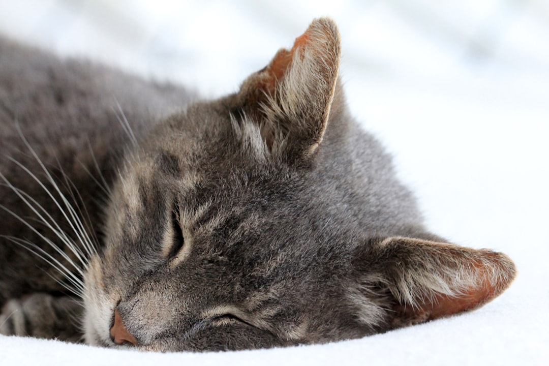 Naptime