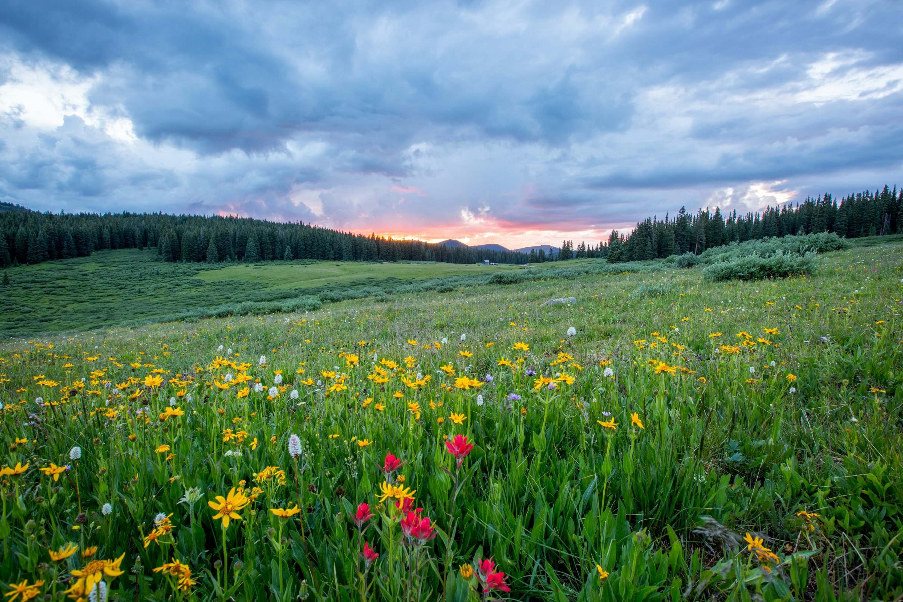 섭지코지 제주 여행