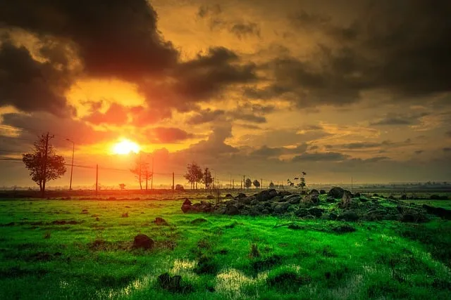 유니세프 후원 해지 방법 절차와 고객센터 정보 안내_5