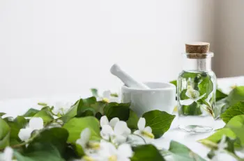 어성초 효능 효과 및 영양성분&amp;#44; 부작용