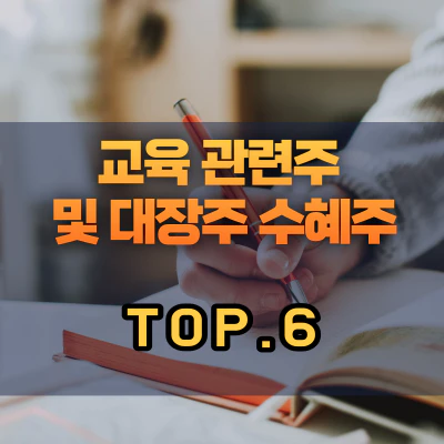 교육-관련주