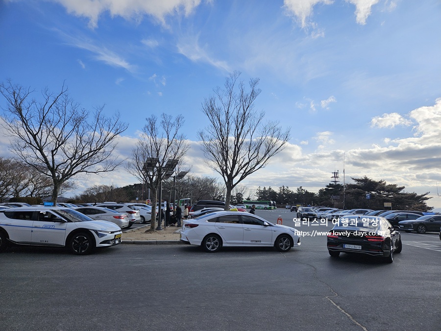 경주 석굴암 입장료 가는 길 주차장 관람 후기