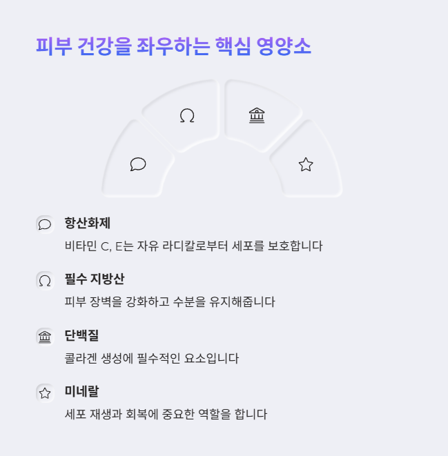 영양소가 피부 건강에 미치는 역할