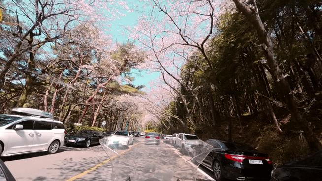 장복산