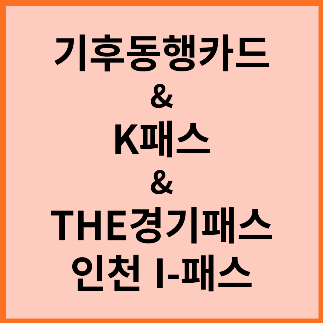 K패스 기후동행카드 차이점 비교