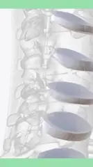 목디스크 예방 스트레칭&amp;#44; 거북목 교정