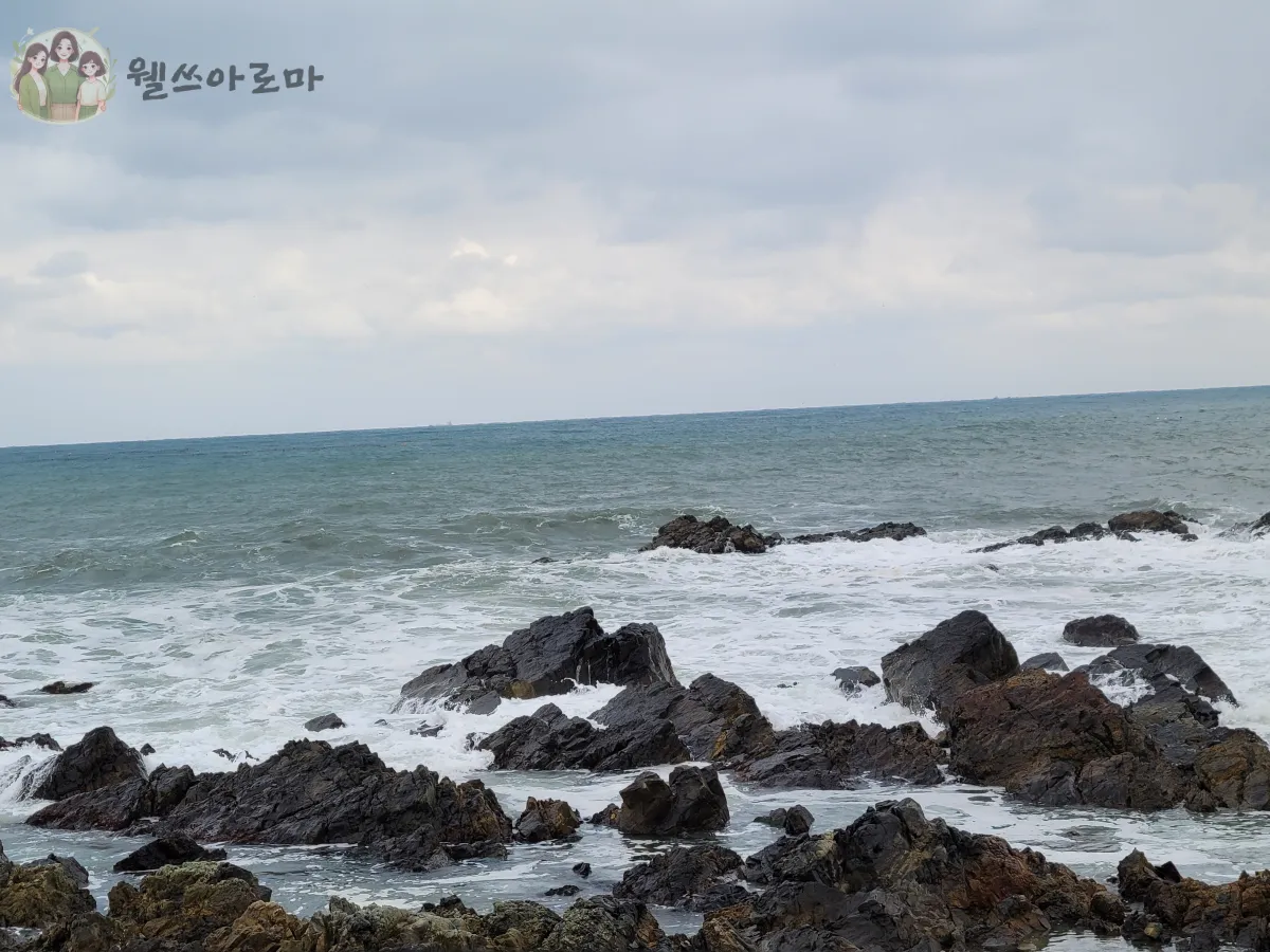 카페드메르-동백방파제-바다사진