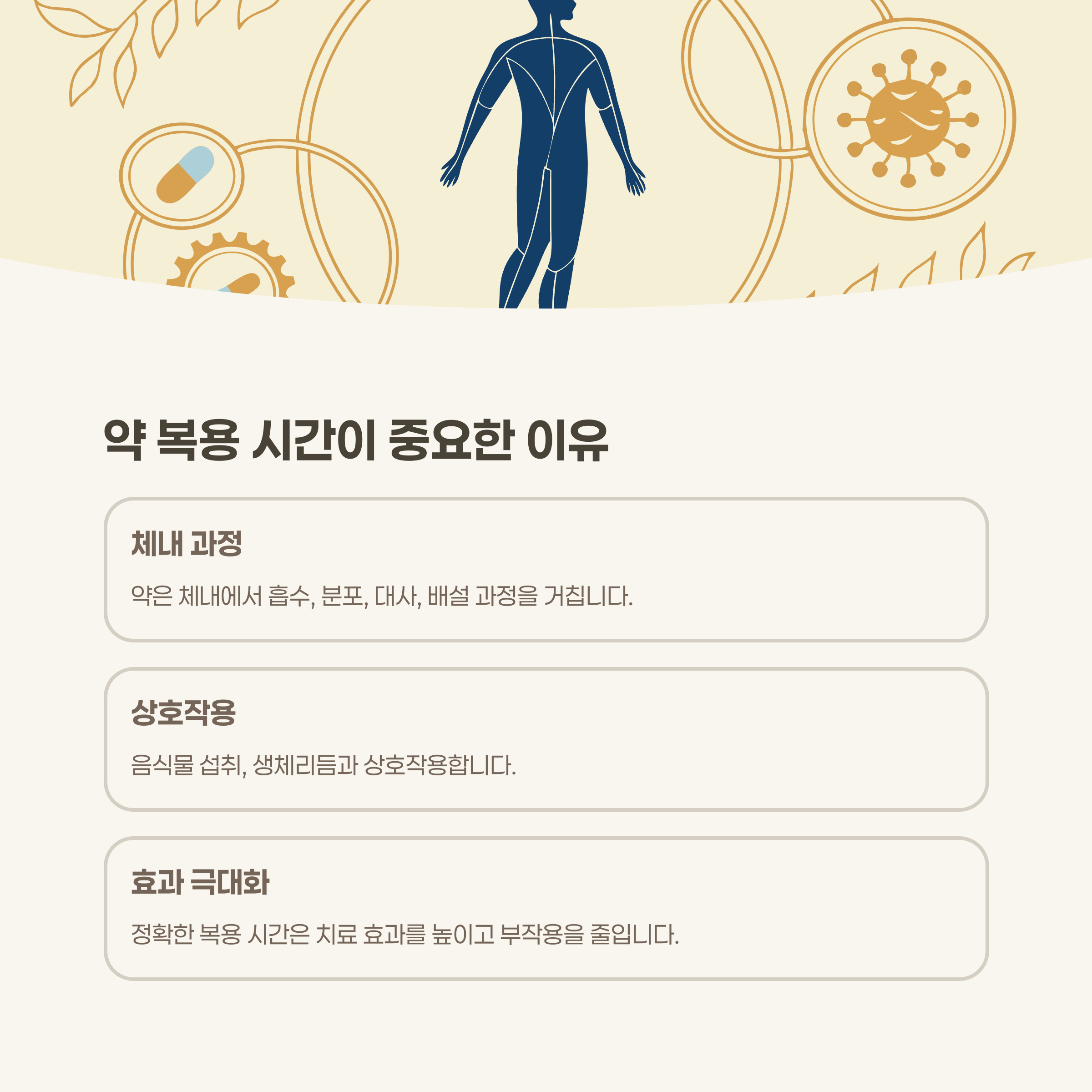 약 복용 시간, 왜 중요할까요?