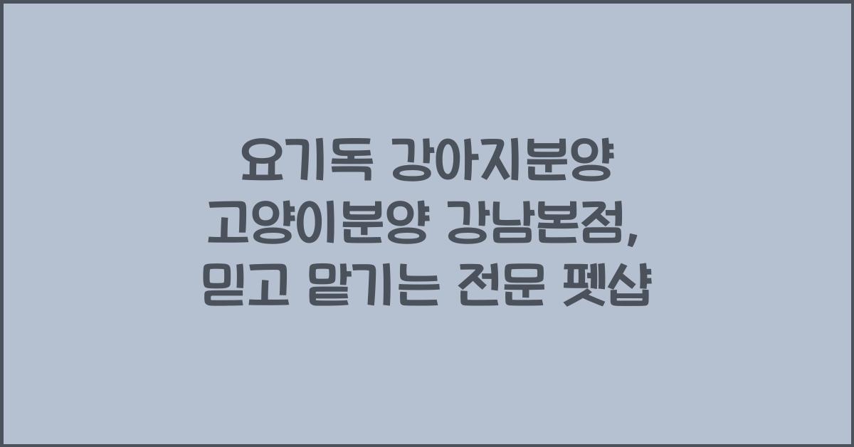 요기독 강아지분양 고양이분양 강남본점
