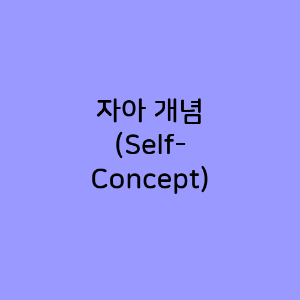 자아 개념