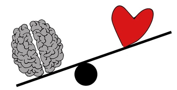 포스파티딜 세린 효능