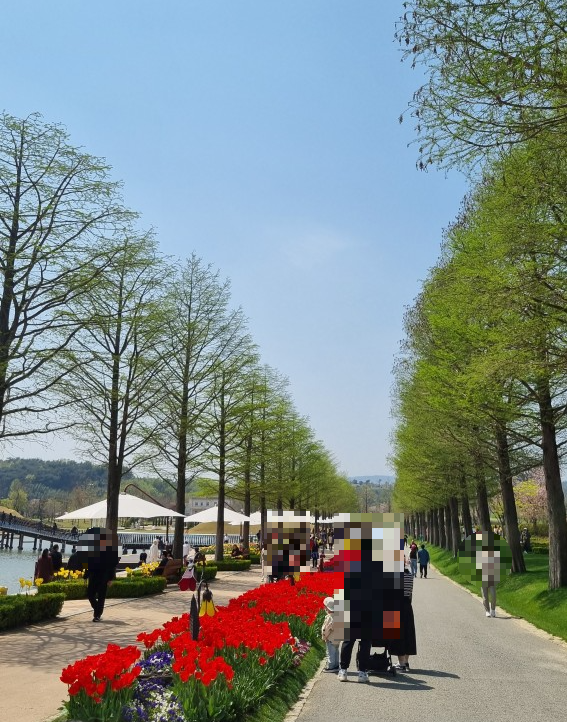 순천만 국가정원 동문 관람 코스 장미정원 (24년4월10일 기준 사진)