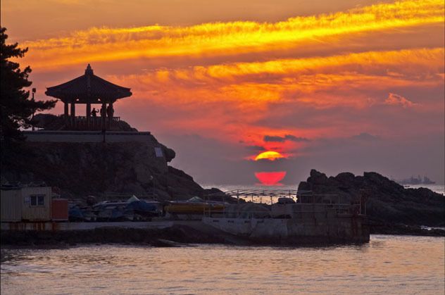 2025 을사년 뱀의 해 새해 인사말 모음