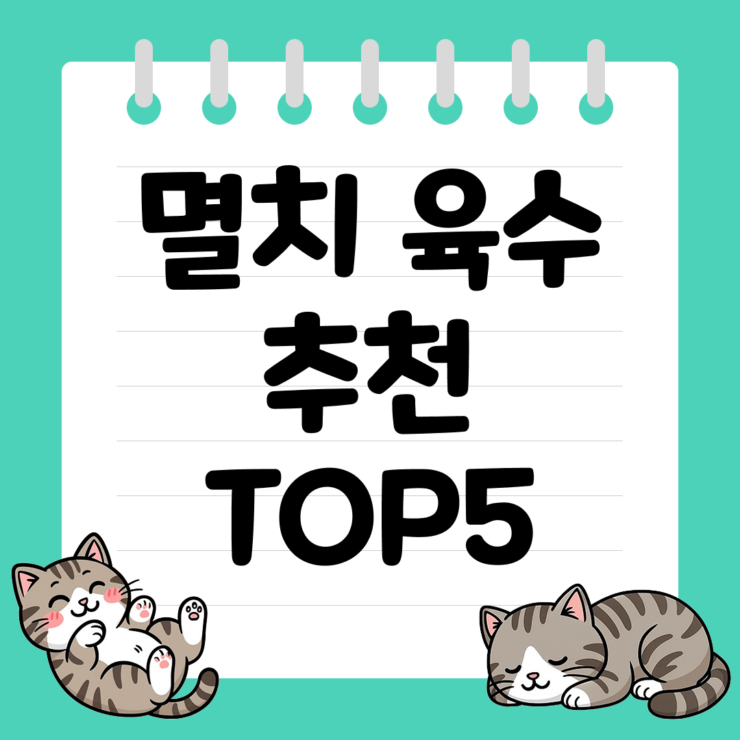 찌개, 국물 요리용 시판 멸치 육수 추천 순위 TOP5