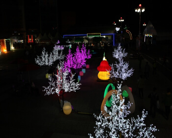 금산인삼축제_5