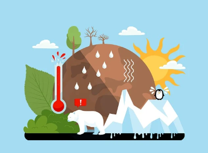 기후 변화와 경제적 대응 방안