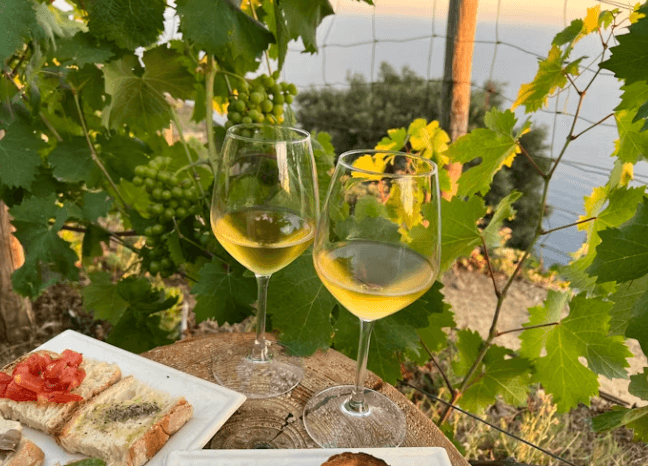 이탈리아 토스카나 여행! 코스 및 명소 총정리