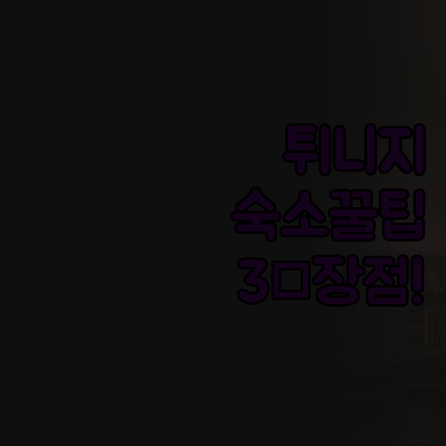 튀니지 수스 여행 숙소 호텔 파리 마..