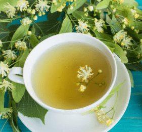 우엉차 효능 10가지 및 부작용