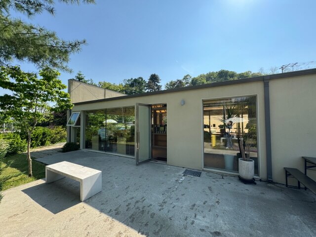 성남 반려견 카페 추천 BEST 5 : 분당·판교 강아지 동반 카페 총정리