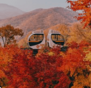 화담숲 예약하기