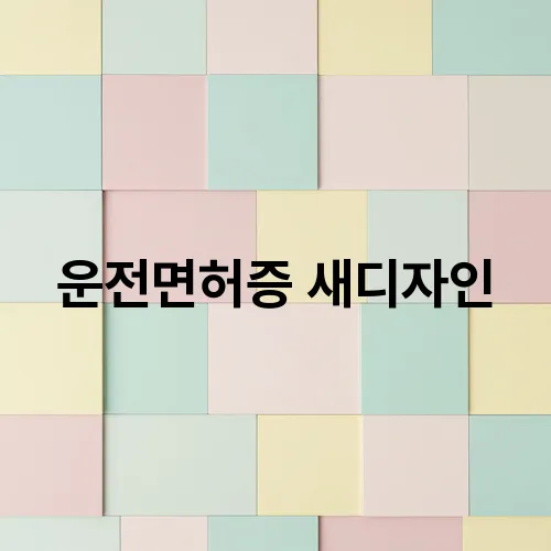운전면허증 새디자인