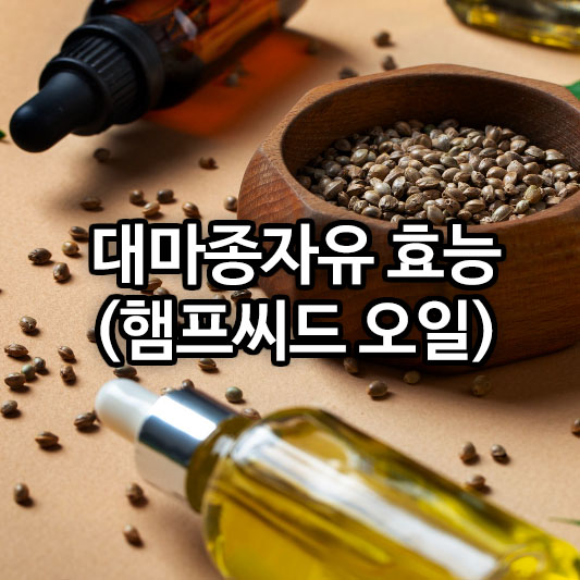 대마종자유 효능(햄프씨드 오일)
