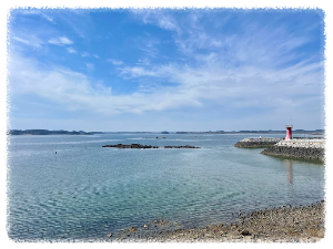 천수만철새도래지