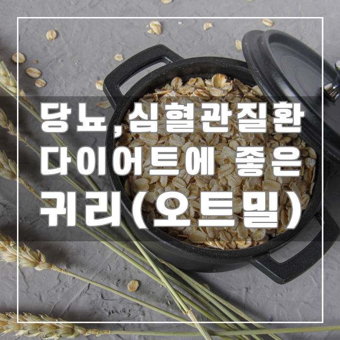 귀리(오트밀)