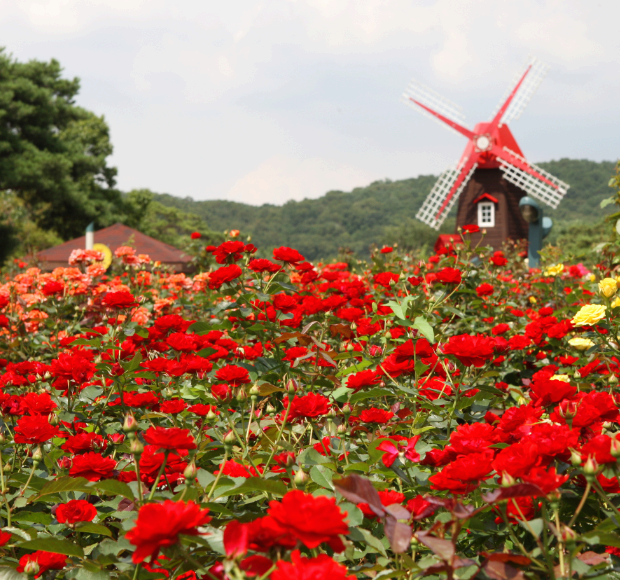 서울대공원 테마가든
