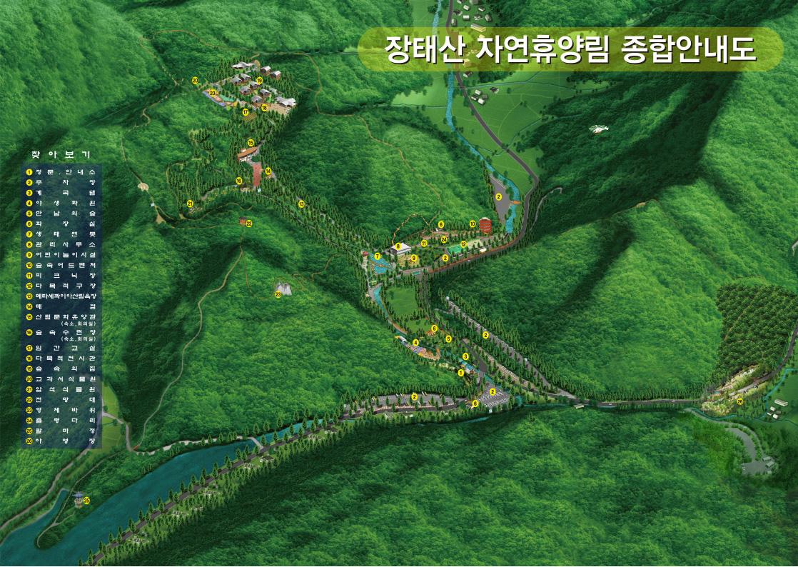 장태산 자연휴양림 메타세퀘이아 스카이웨이 출렁다리 피톤치드