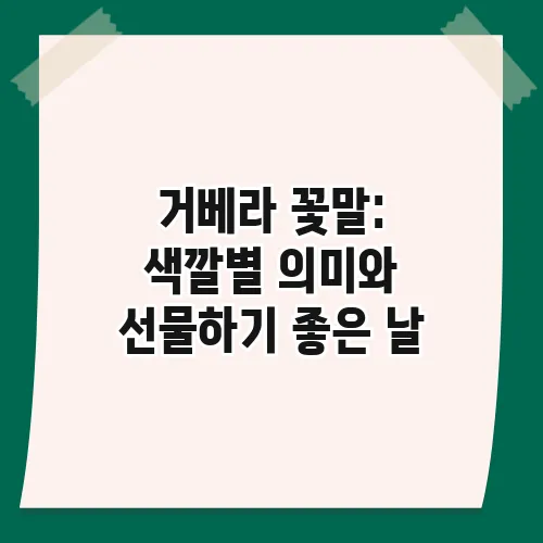거베라 꽃말: 색깔별 의미와 선물하기 좋은 날