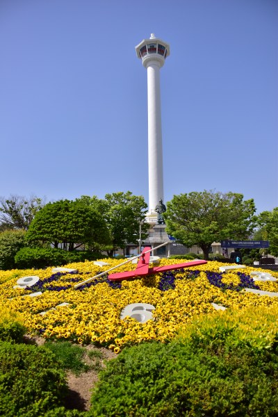부산 용두산 공원 꽃시계와 부산타워