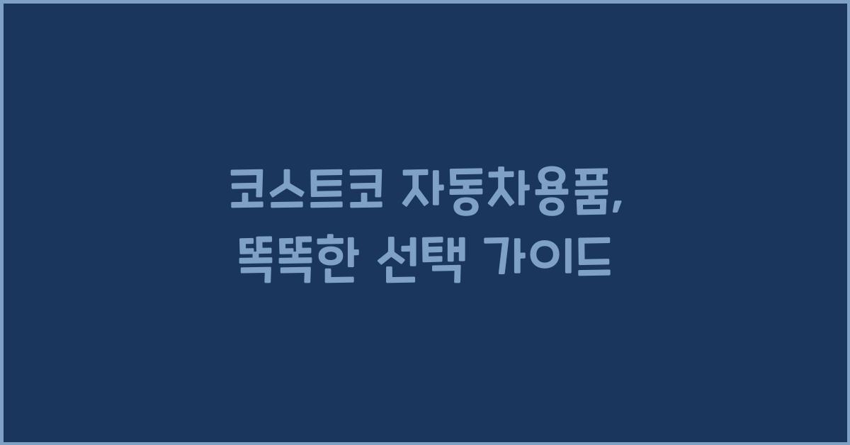 코스트코 자동차용품