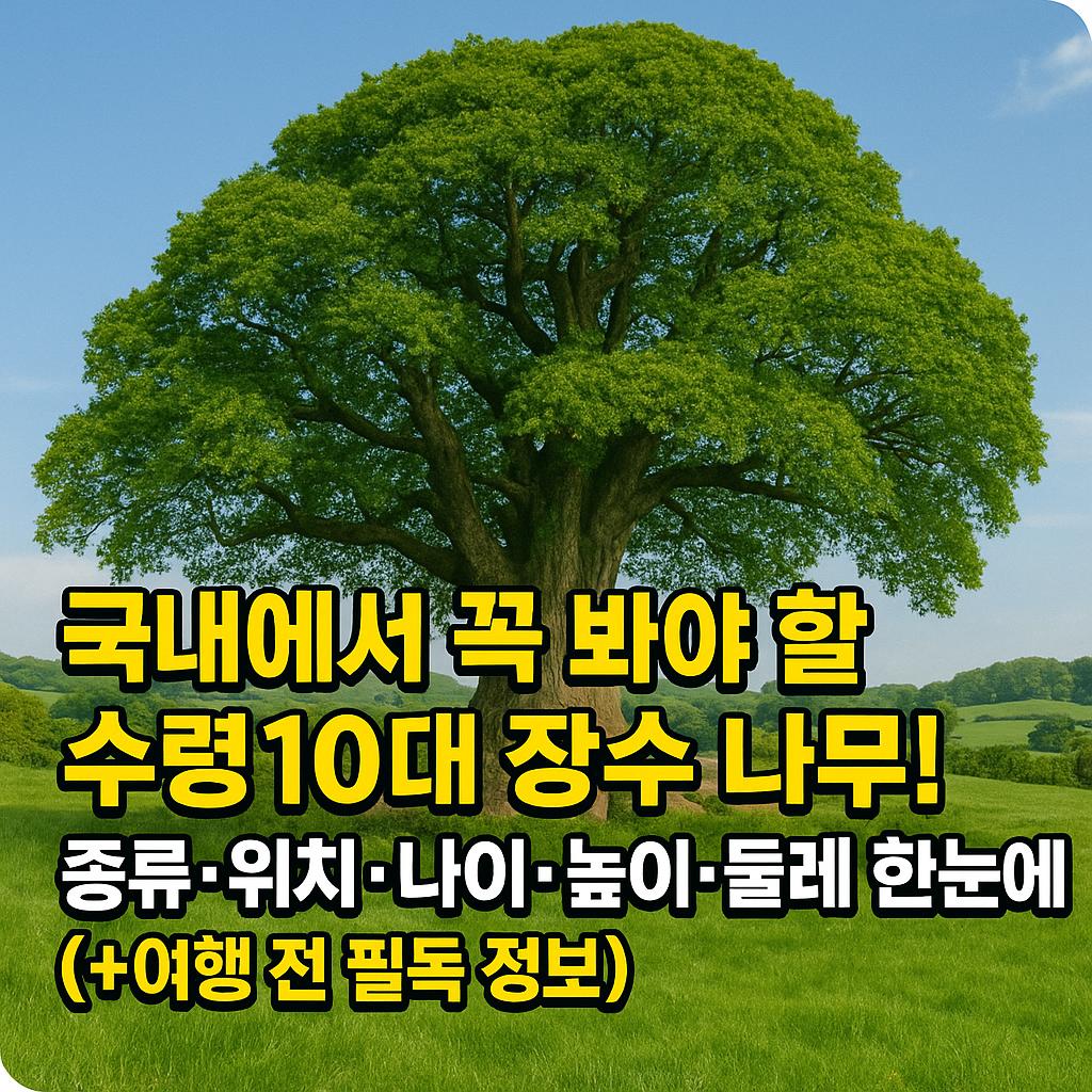 장수 나무