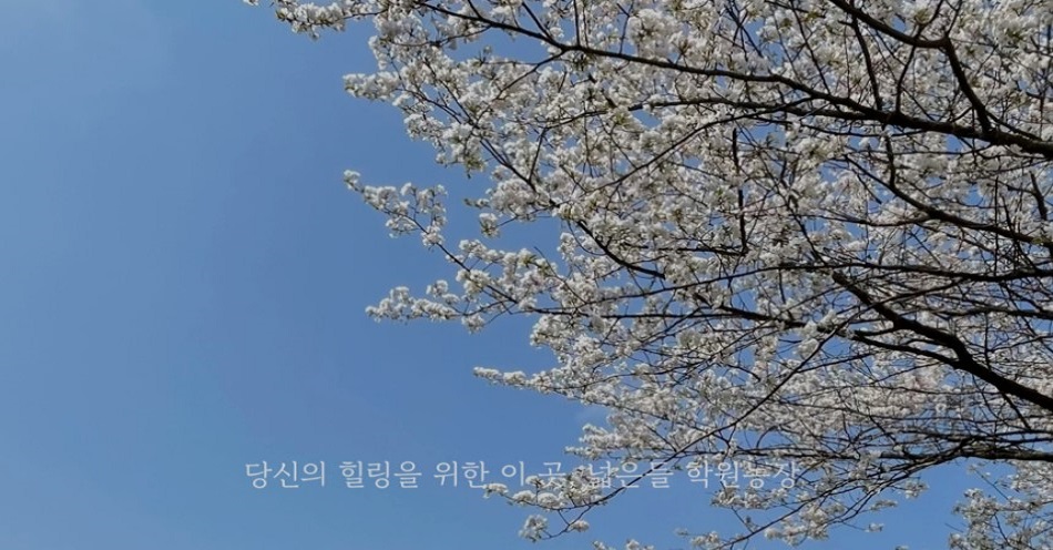 학원농장