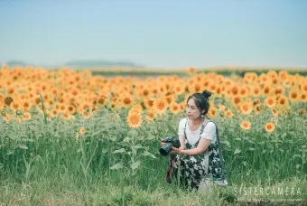 7월 국내 가족여행지 추천 베스트 코스 완벽 가이드_24