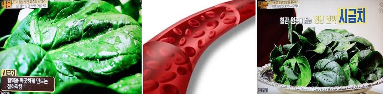 혈관 건강에 좋은 시금치