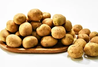 감자 심는 시기 재배 방법_2