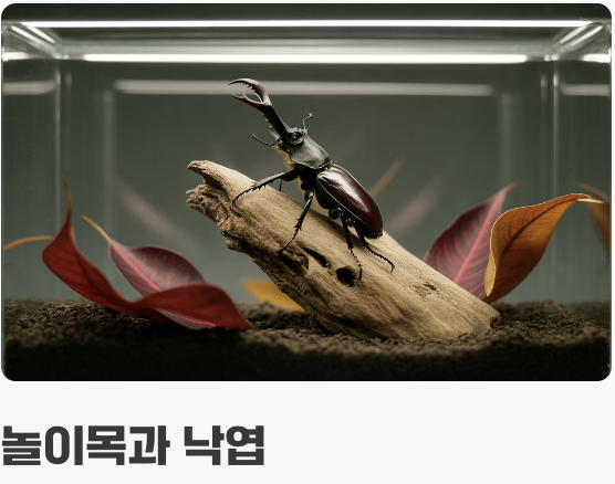 이것만은 꼭! '관리'의 핵심 포인트
