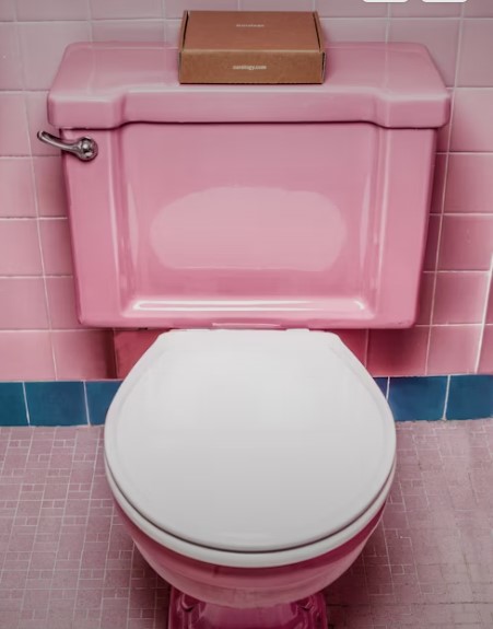 유아의 성공적인 배변 훈령 요령과 전략